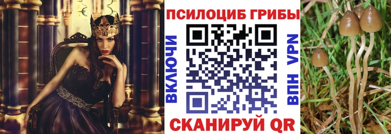 Купить закладки  Зуевка  Псилоцибиновые грибы Cubensis 